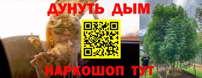 индика Бузулук