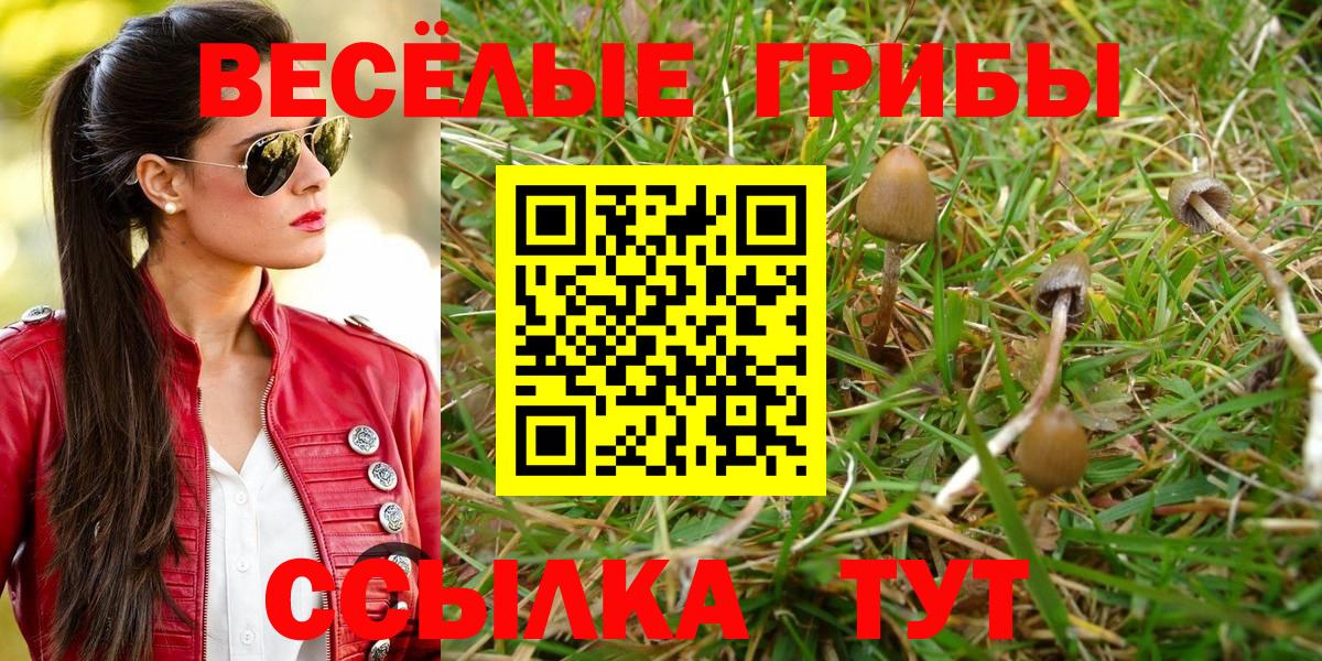 Галлюциногенные грибы GOLDEN TEACHER  Вход с VPN  Новочеркасск 